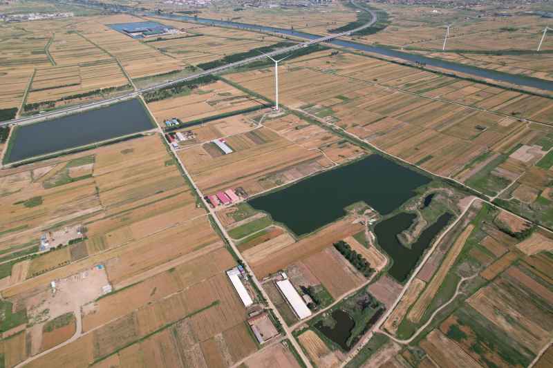 DJI_0445