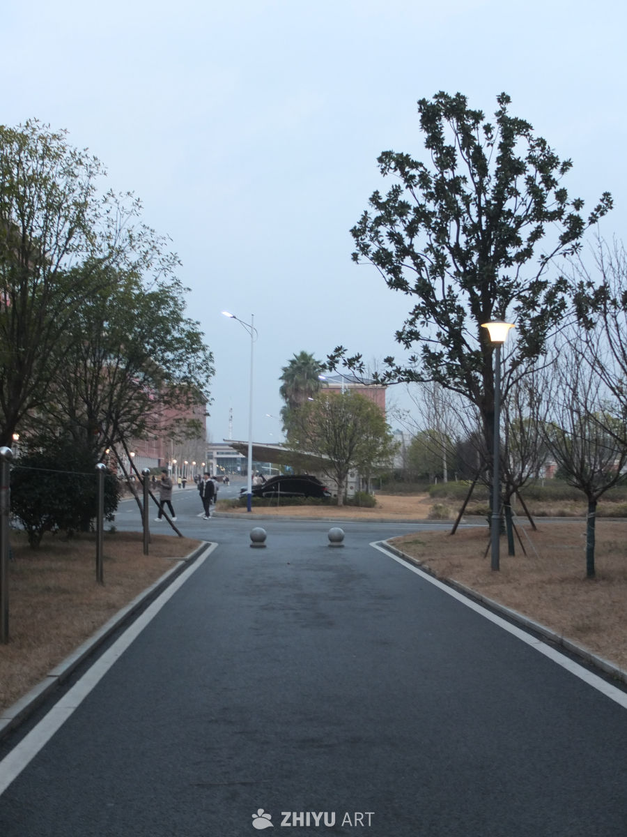 大学 12