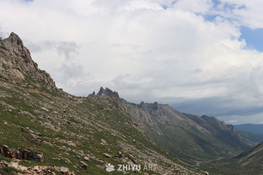 高山草地的宁静之美