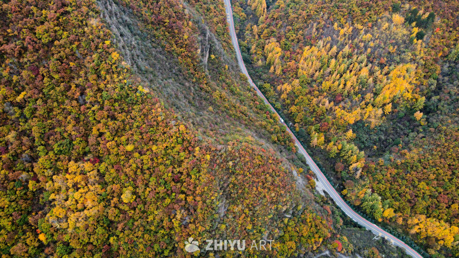 兰州七里河区云顶山秋景 10
