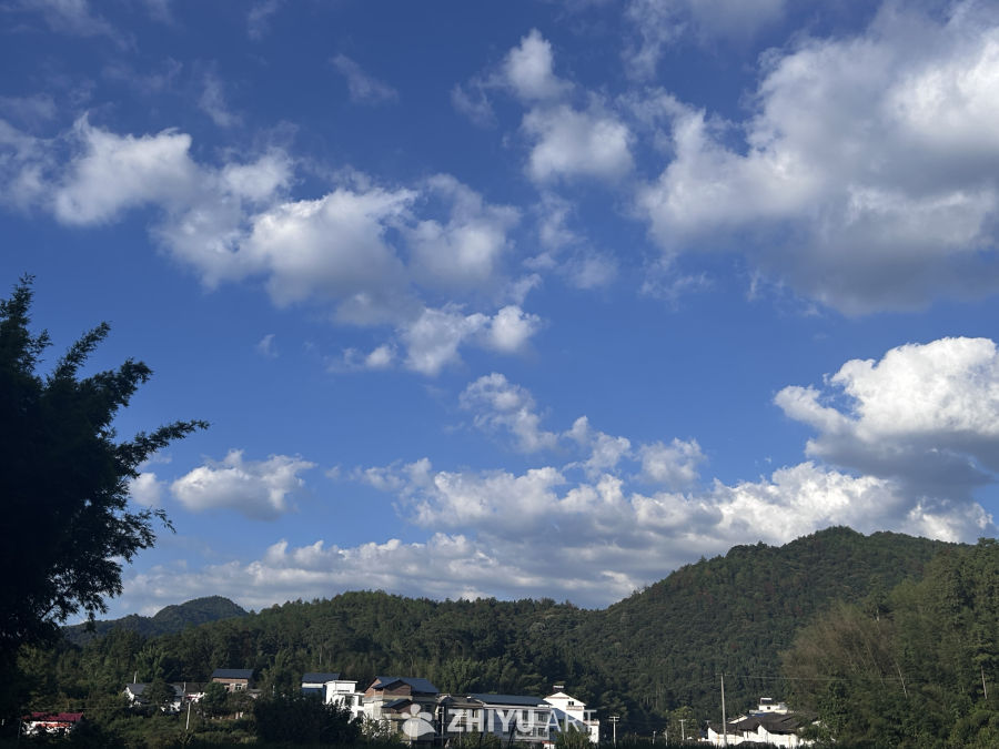 路上的风景