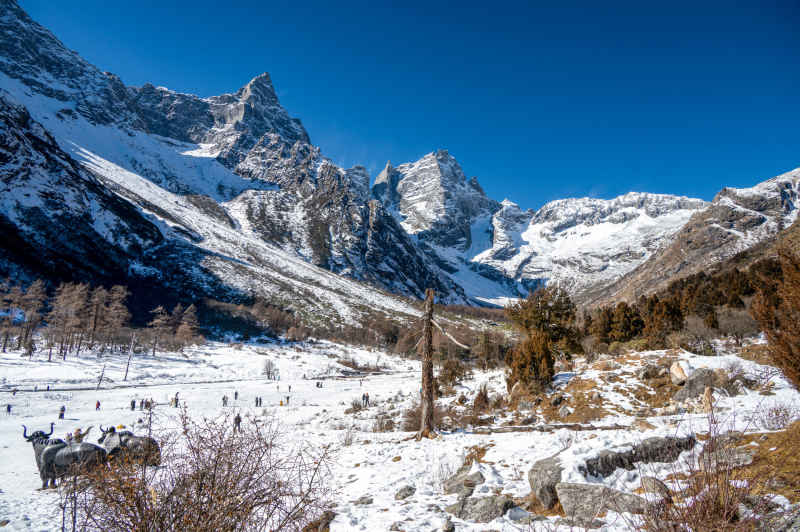 雪山3