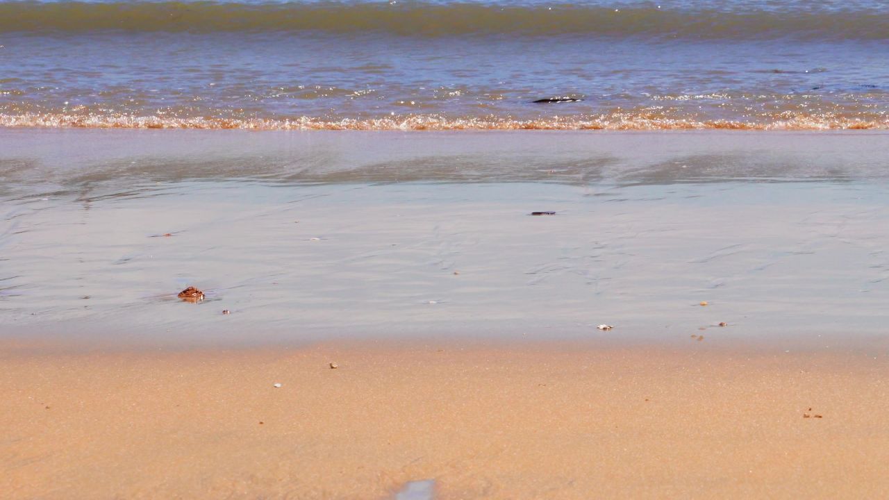 海滩