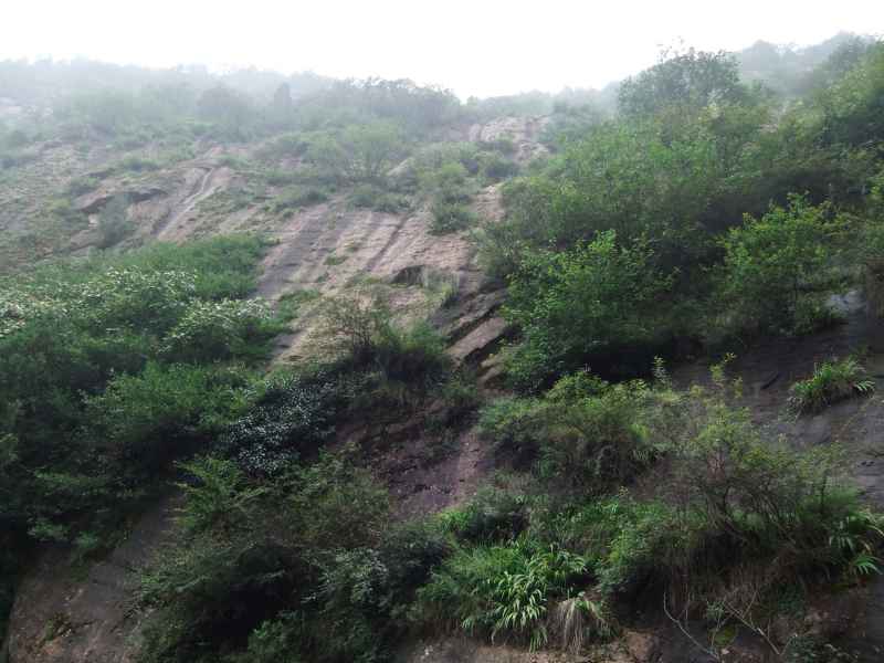 层峦叠嶂