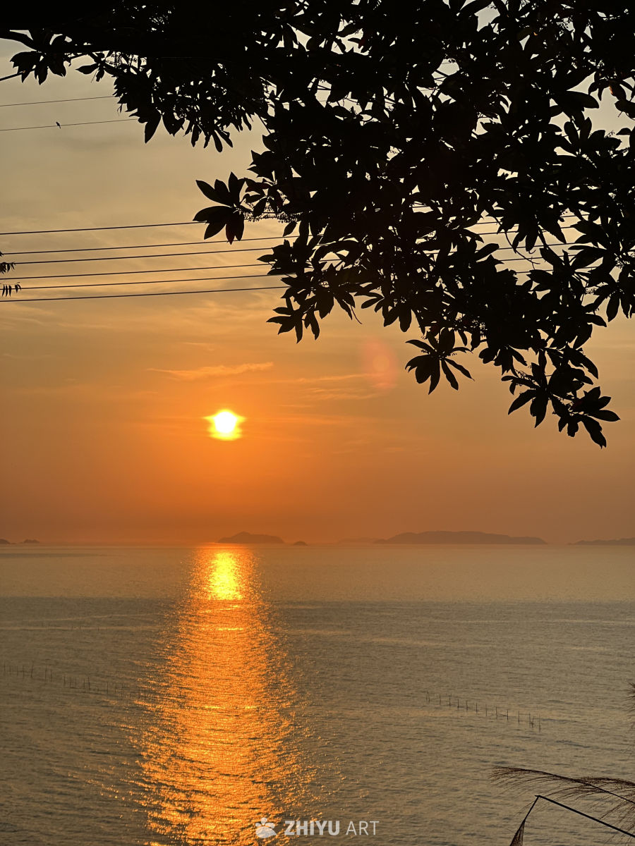 夕阳 20
