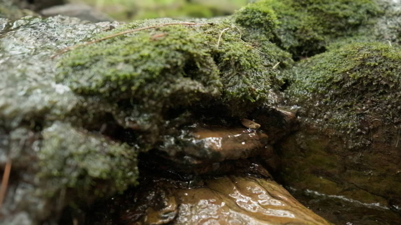 山泉水矿泉水潺潺小溪流水瀑布 19