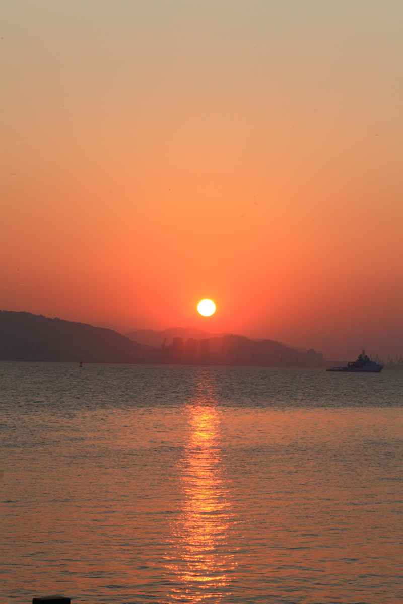 厦门 31