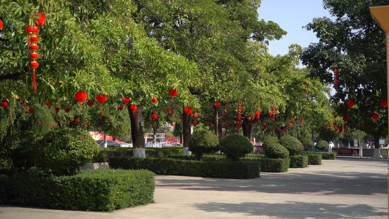 喜庆扫街 34