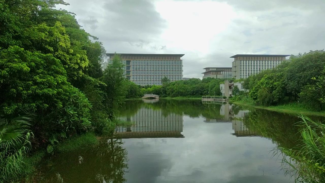 公园湖天