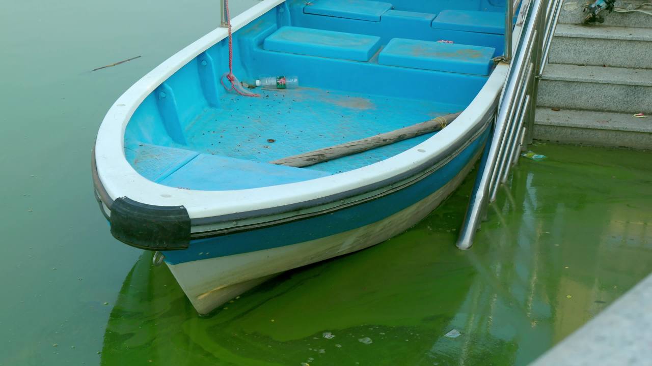 湖面污水小船