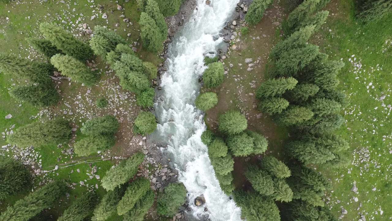 新疆伊犁琼库什台 4