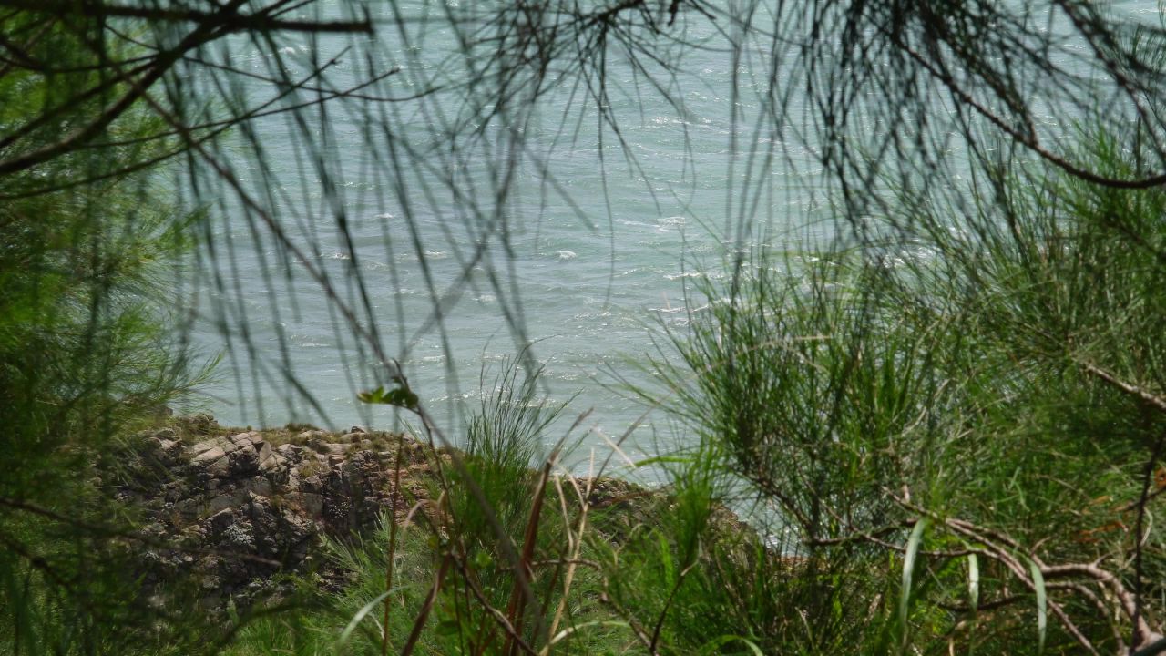海风吹