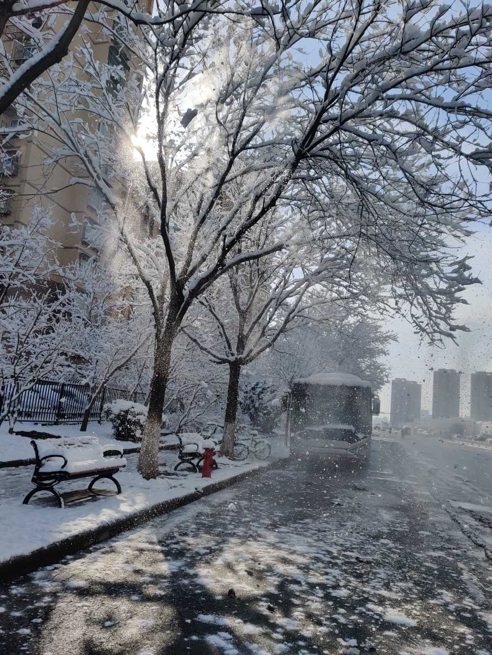 春日雪后初晴