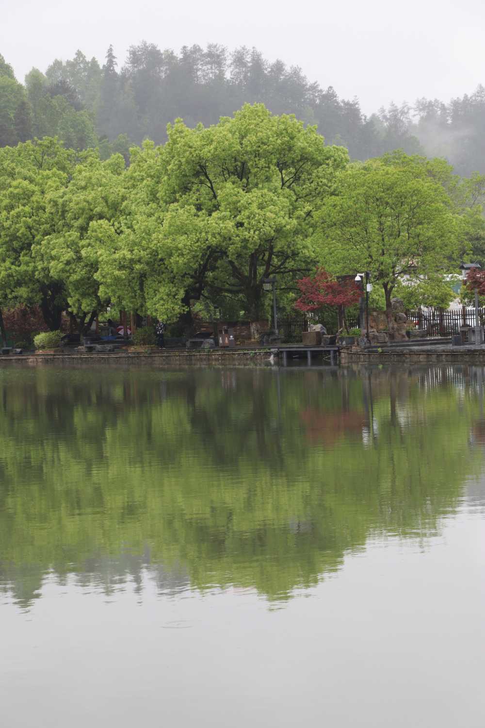 西递村旁，雨中湖面，绿水青山倒影，诗意浓浓