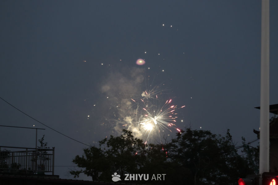 夜空绽放的烟花