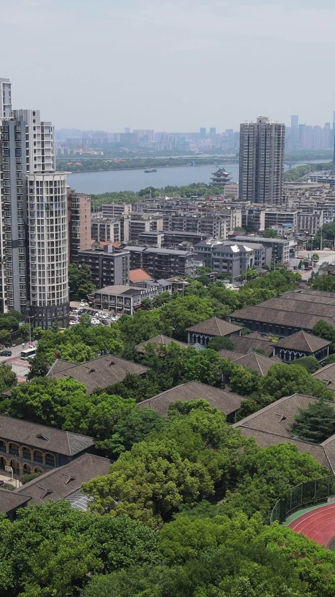 城市与自然的和谐共存