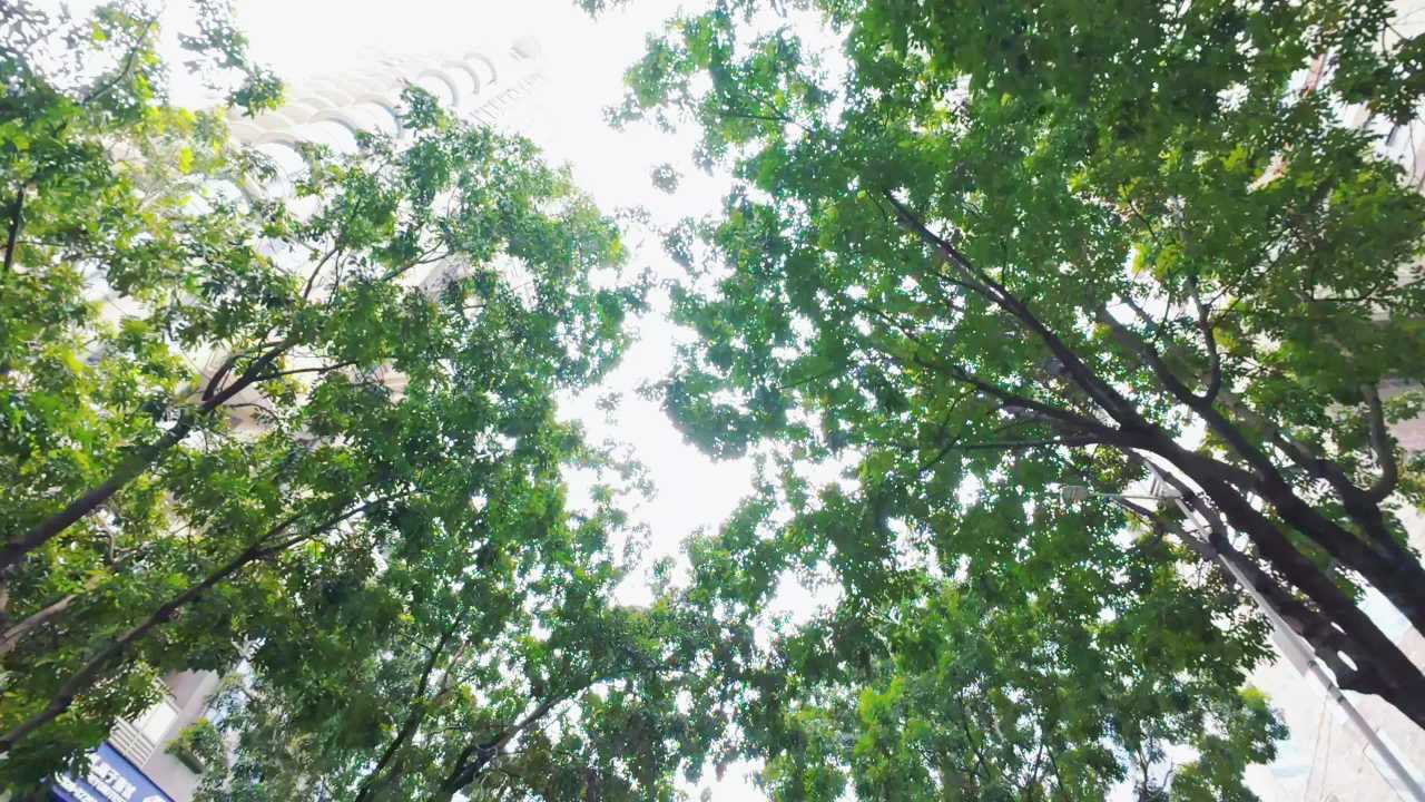 4K城市建筑行车仰拍阴天7