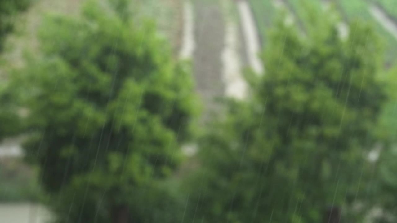 阴天下雨水滴雨滴天气 35