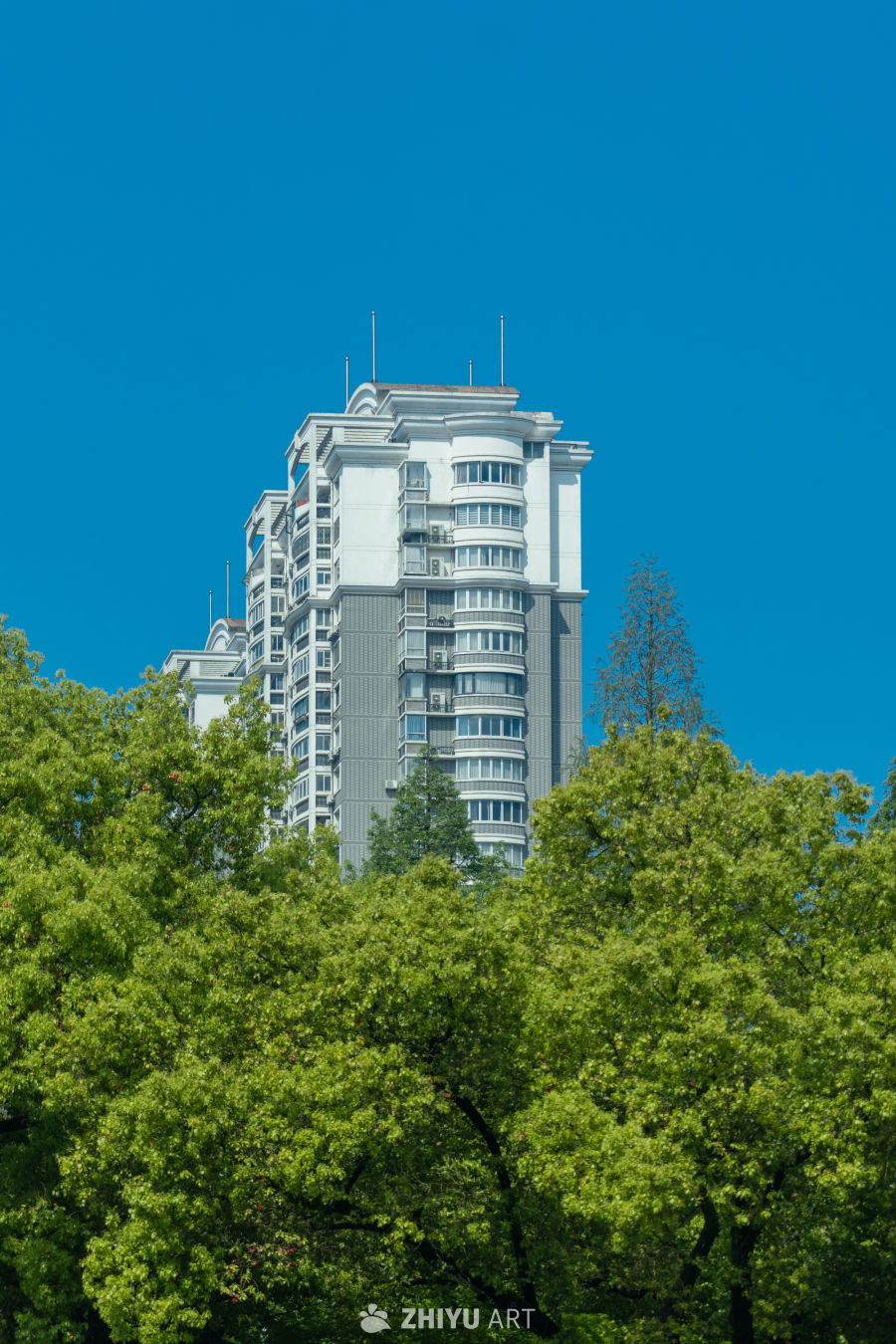 高楼与绿树相映成趣