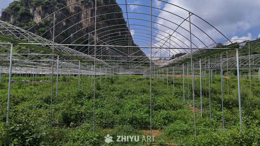 山间温室植物园