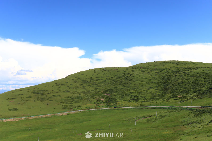 草原上的宁静之旅