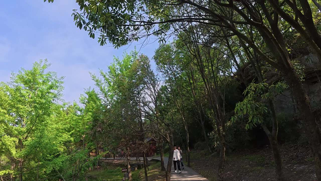 古寺林间漫步
