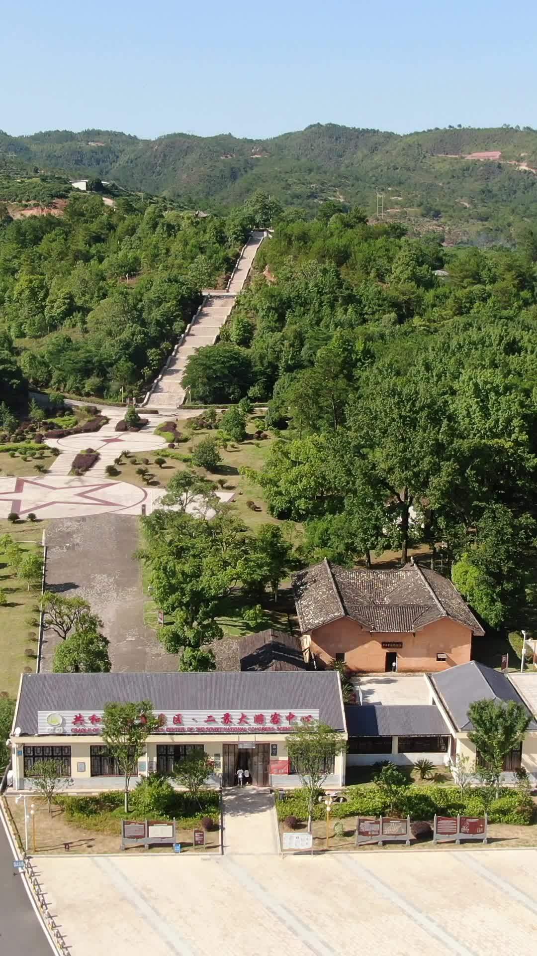 山间绿意盎然的步道