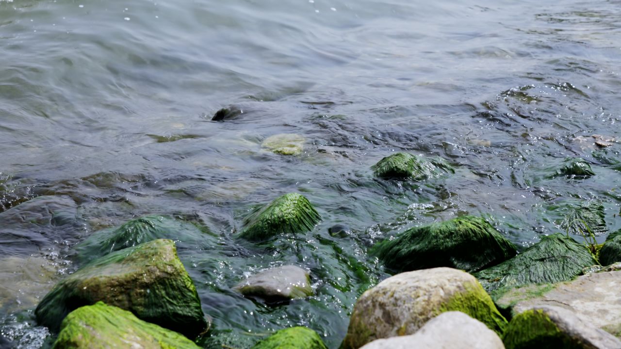 云南大理洱海海浪升格慢镜头