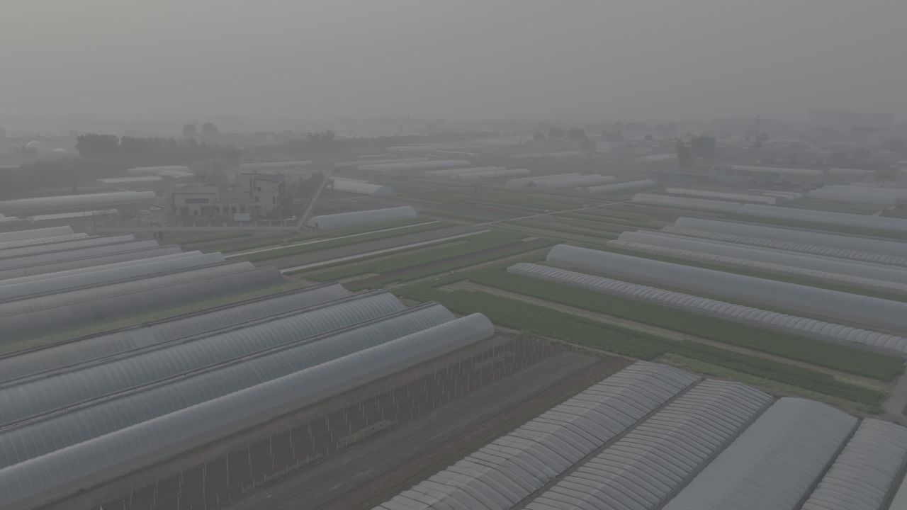 雾中温室与市场
