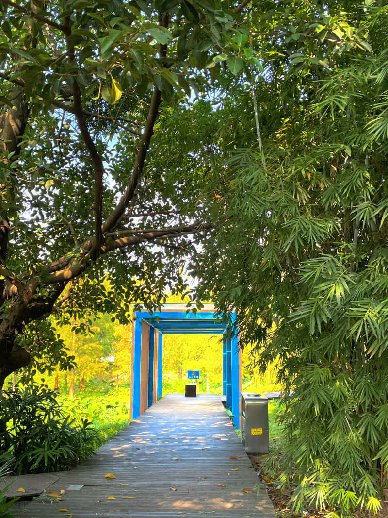 林中小路