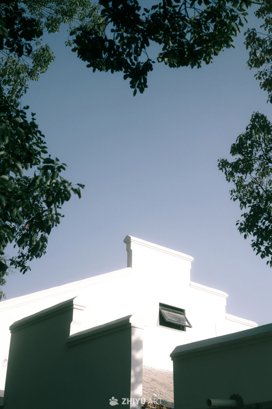 白墙绿树映蓝天