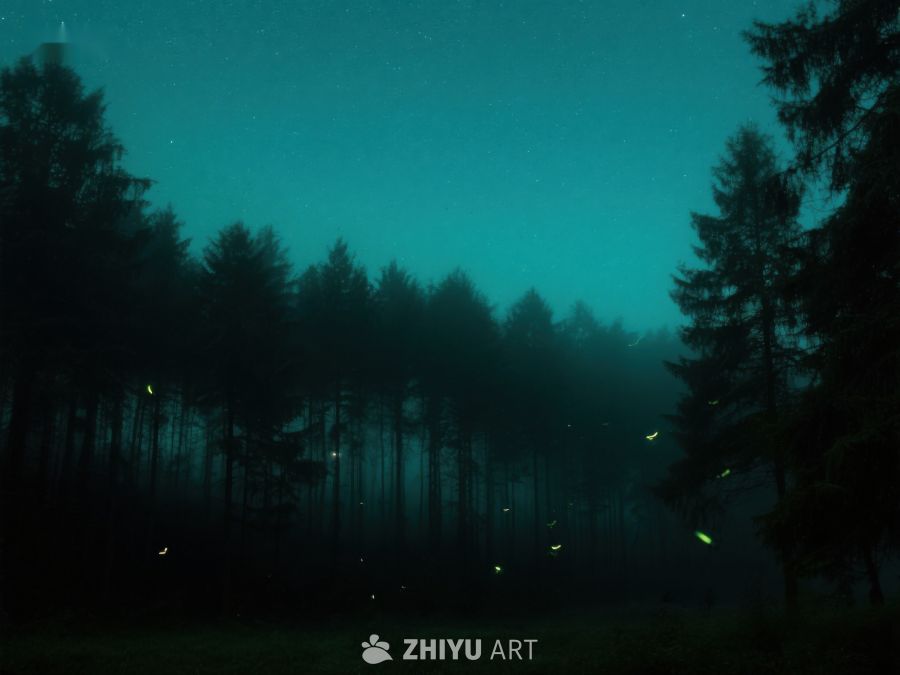 夜幕森林中的萤火虫 478