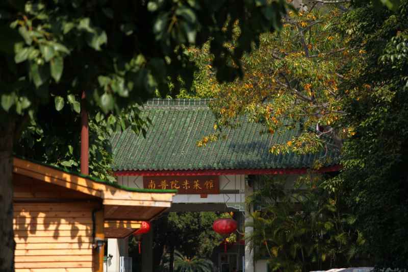 厦门 1