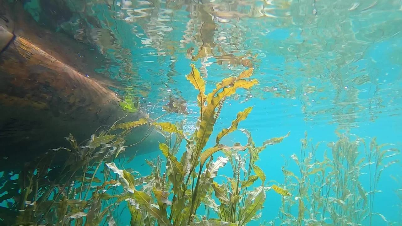 泸沽湖