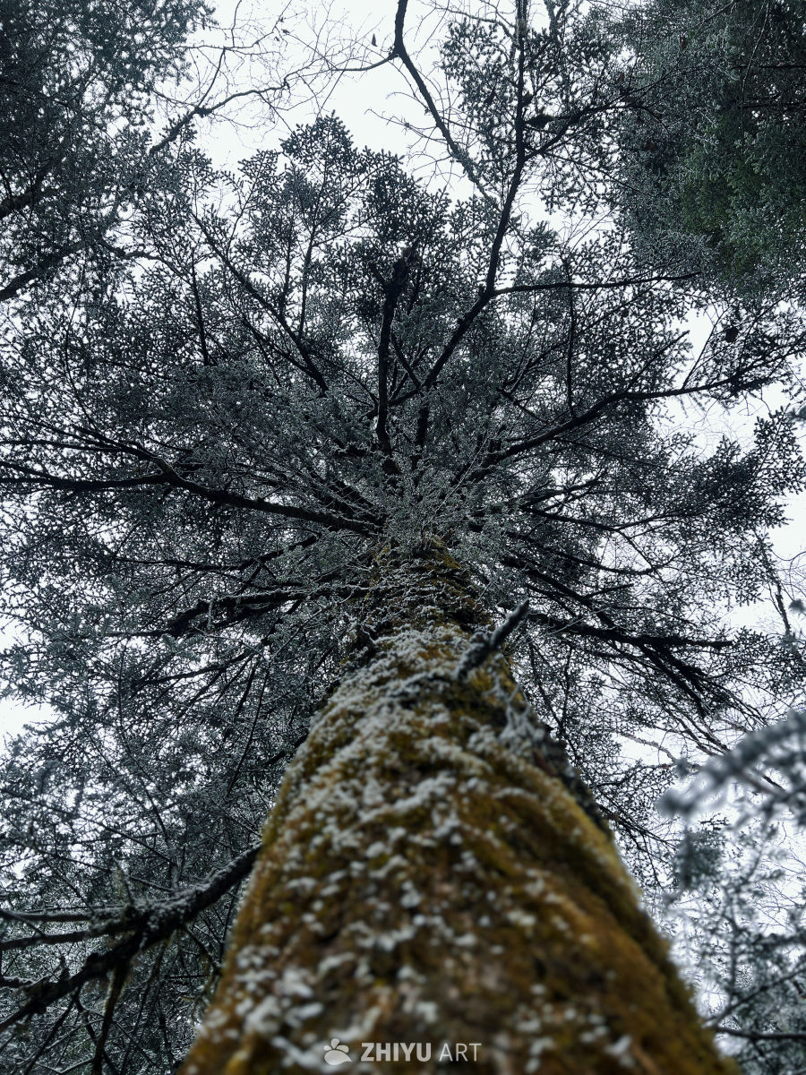身体和灵魂总有一个在路上