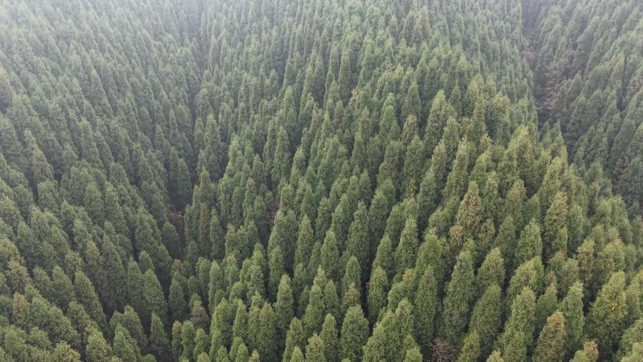 DJI_20251125132915_0018_D 6