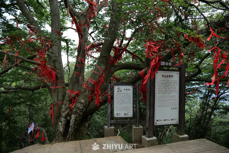 光雾山景区 39