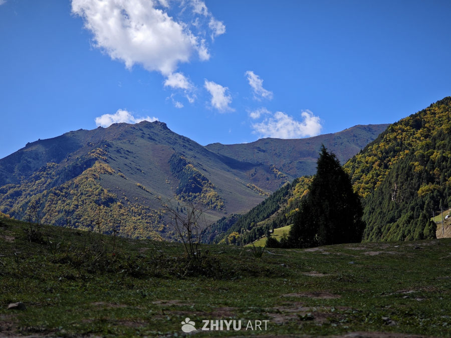 互助北山森林公园