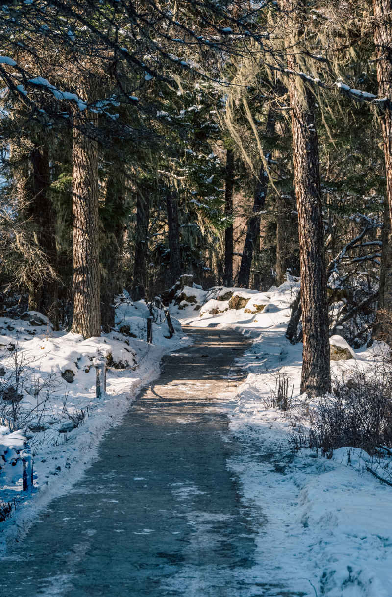 雪山小径