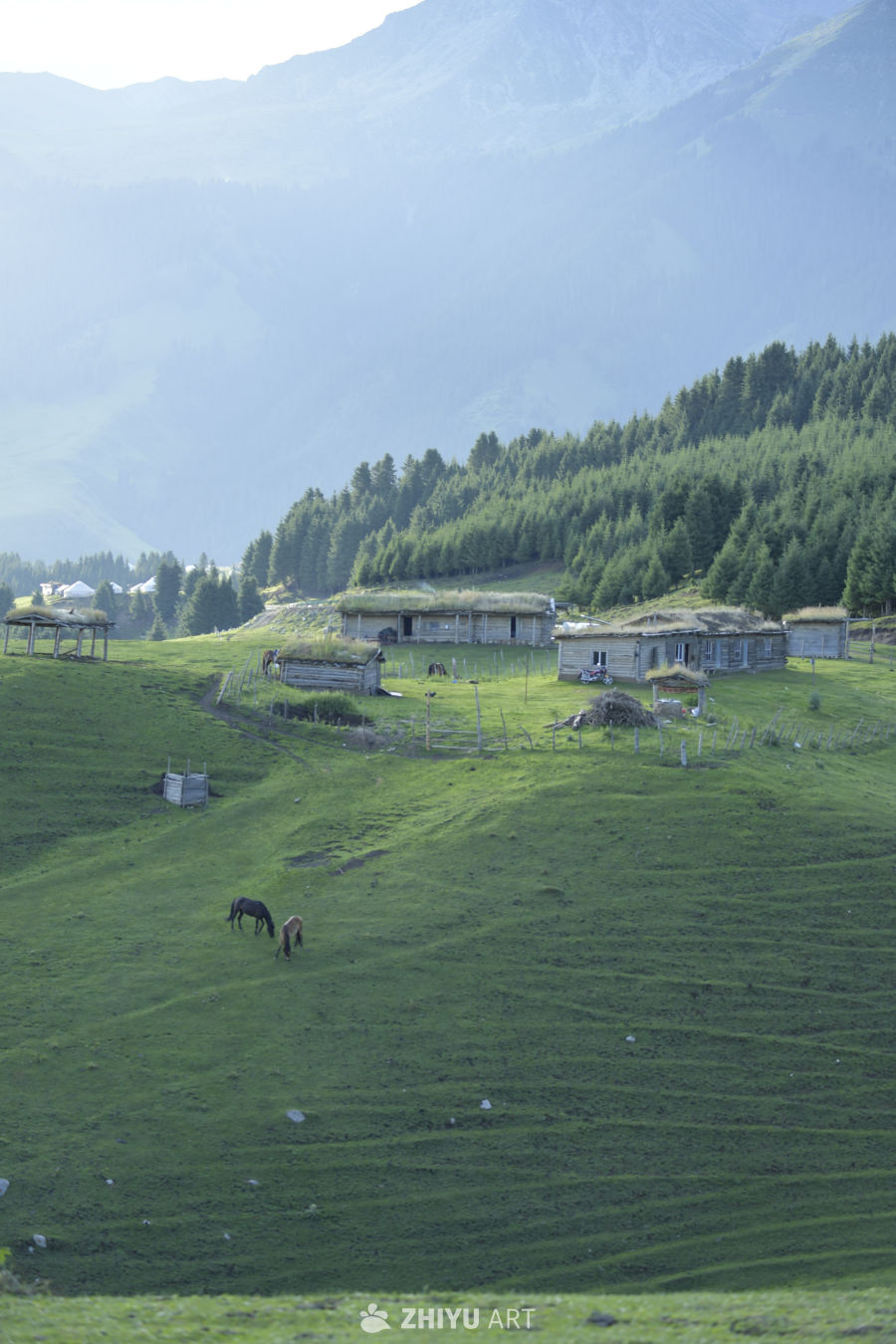 山间牧场