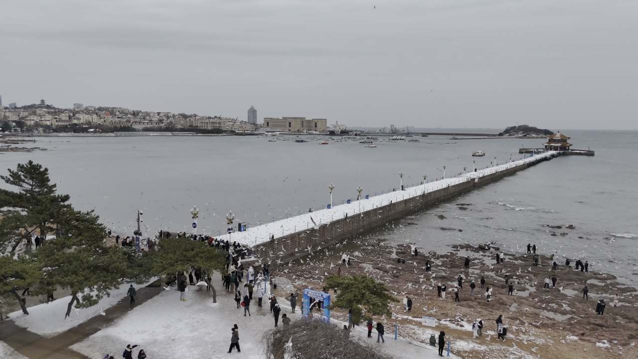 青岛市南老城区栈桥海边雪景航拍 1