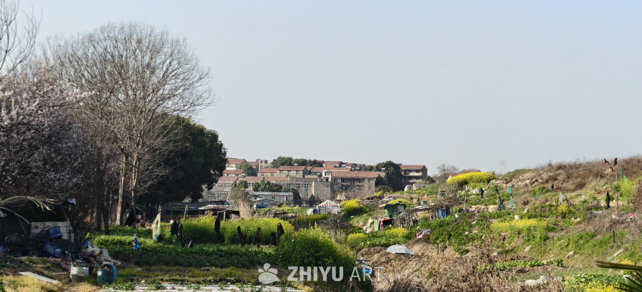 春日乡村田园风光