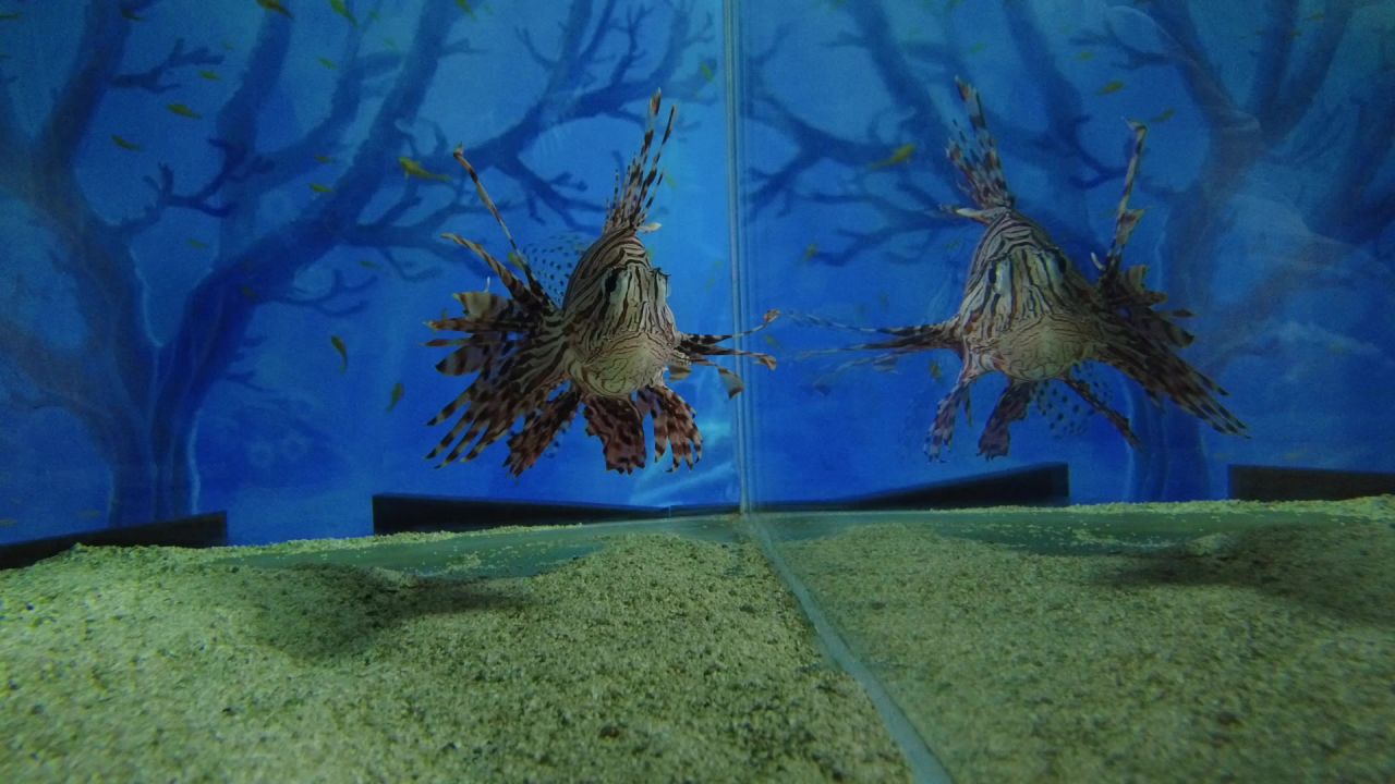 短视频创作者小城市乡村旅游活动记录素材