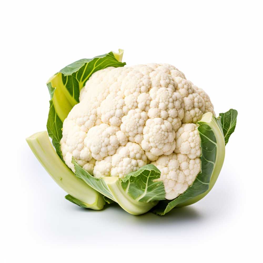 摄影元素