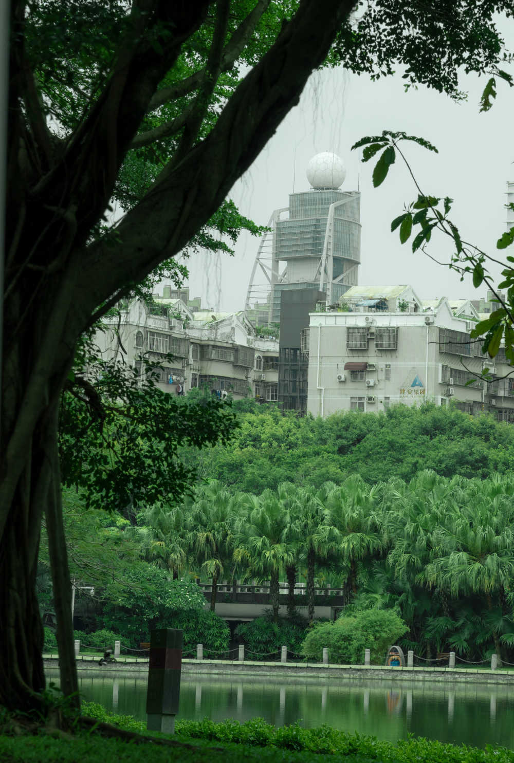 深圳市国际花卉博览园