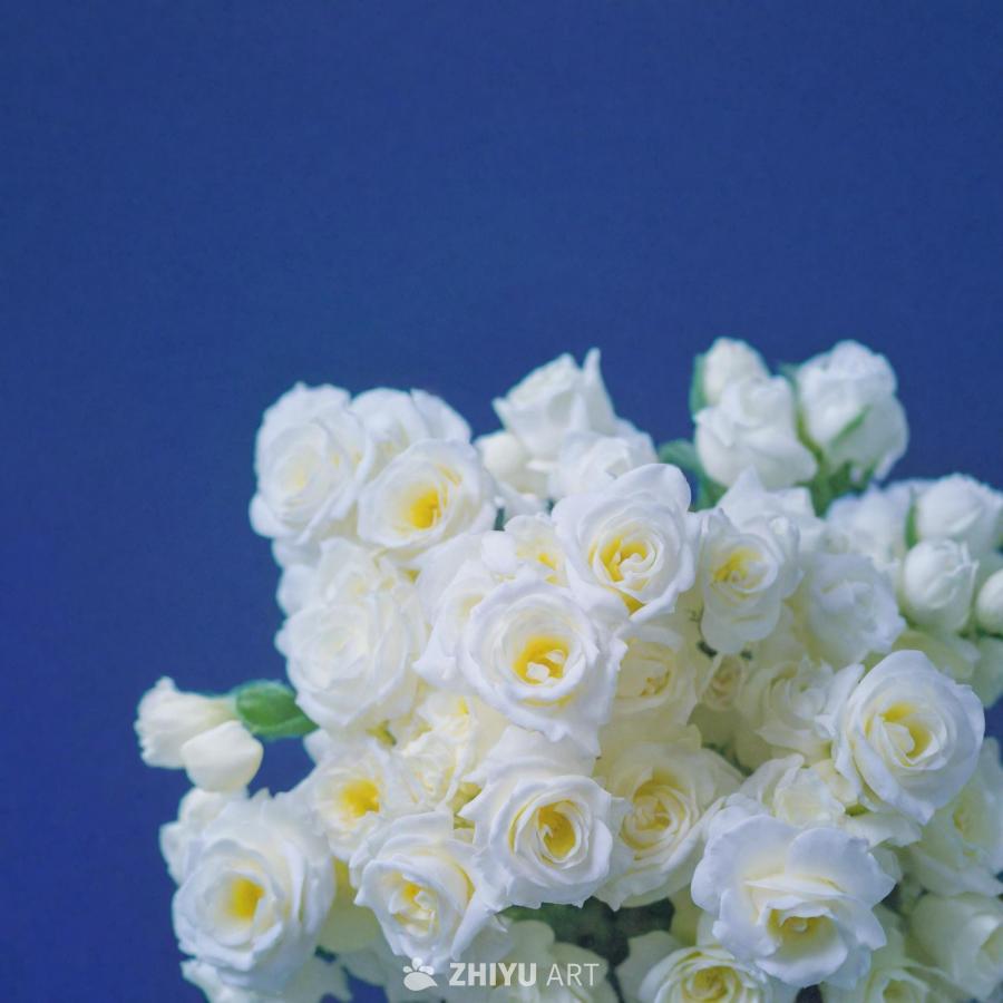 一束美丽的白色花朵，带有黄色和紫色的色调。花朵以视
