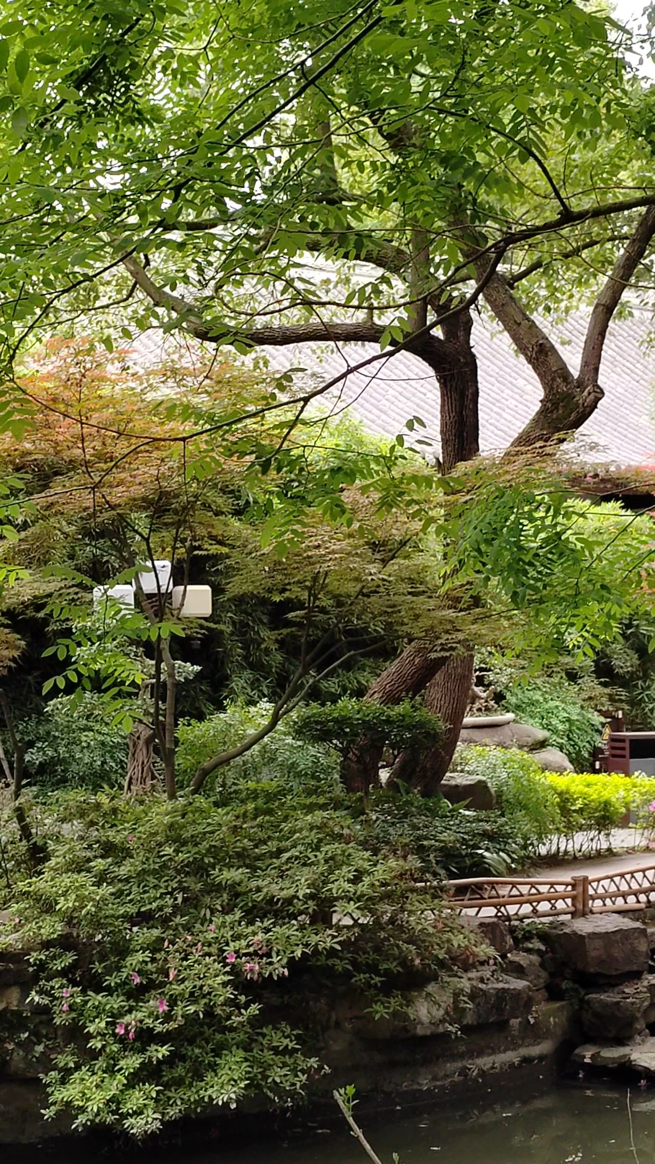 武侯祠里景