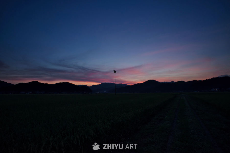 夕阳无限好处只是近黄昏