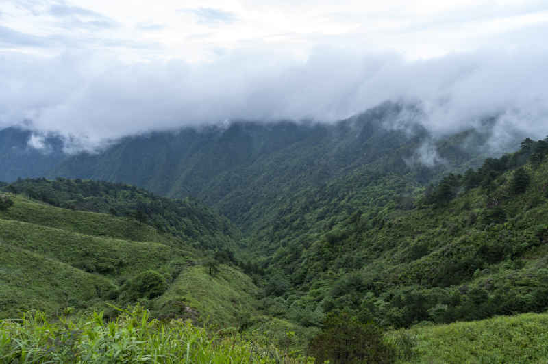 大美武功山 31