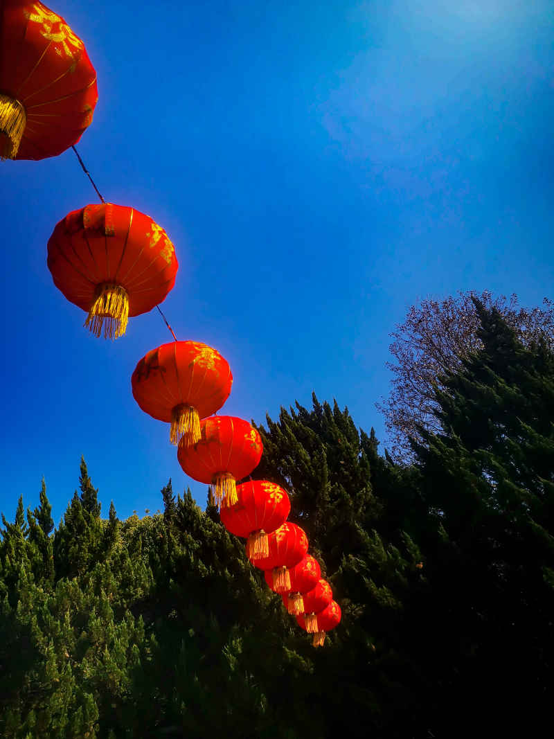 过年城市喜庆红灯笼中国年装饰摄影图 